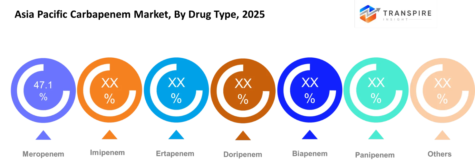Asia Pacific Carbapenem Market Drug Type Asia Pacific Carbapenem Market Drug Type