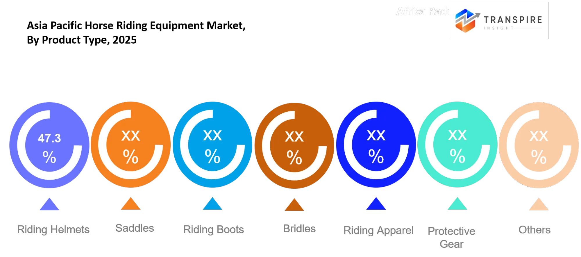 Asia Pacific Horse Riding Equipment Market Type Asia Pacific Horse Riding Equipment Market Type