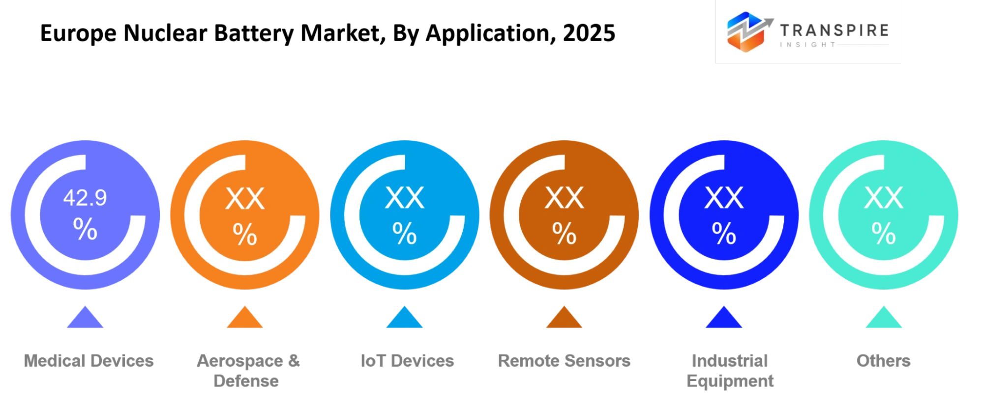 Europe Nuclear Battery Market Application Europe Nuclear Battery Market Application