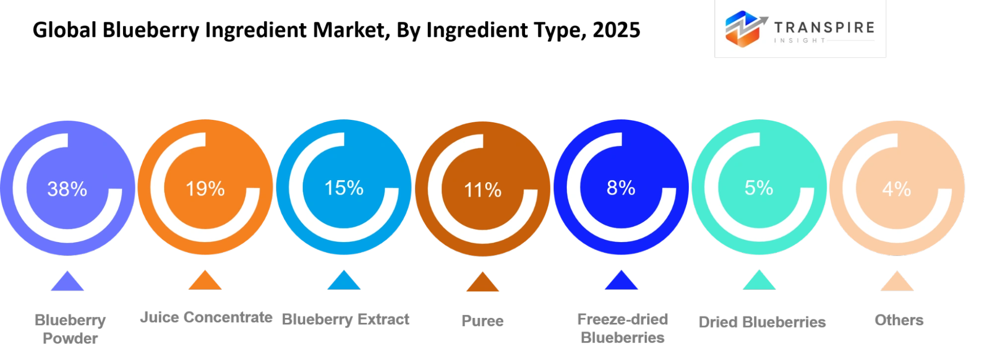 Global Blueberry Ingredient Market Ingredient Type Global Blueberry Ingredient Market Ingredient Type