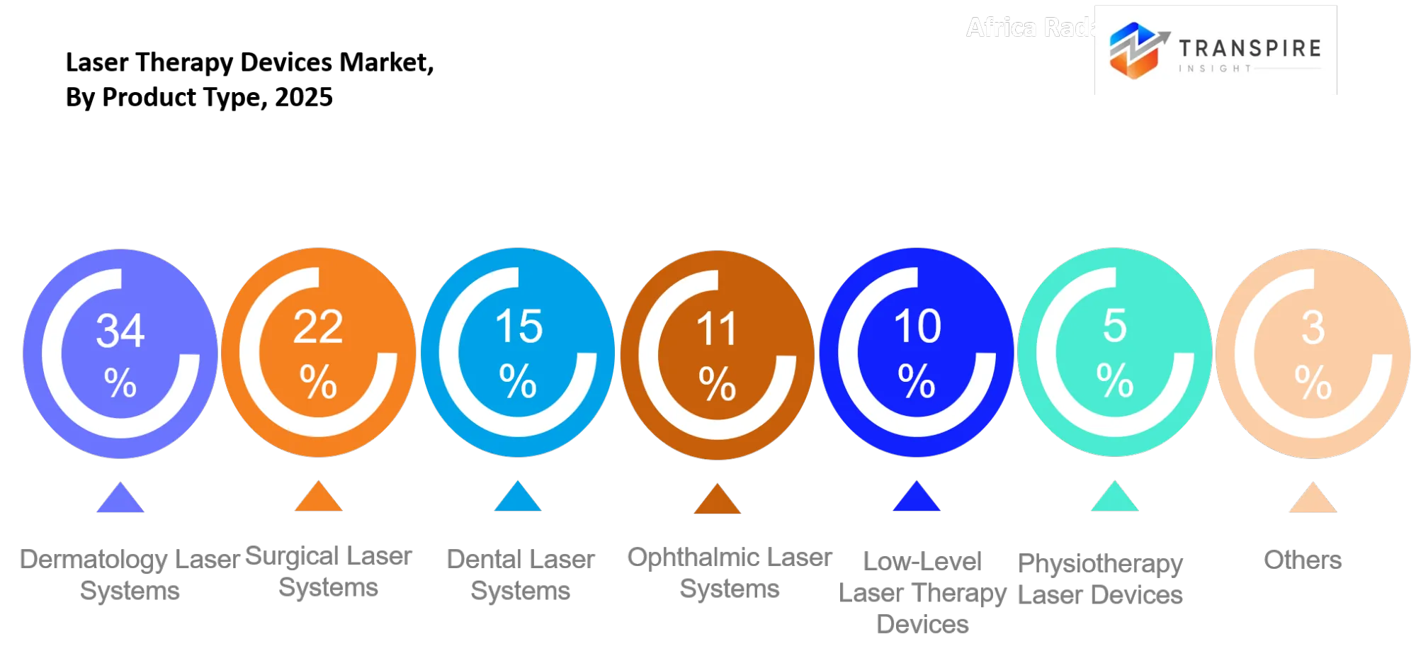 Laser Therapy Devices Market Type Laser Therapy Devices Market Type