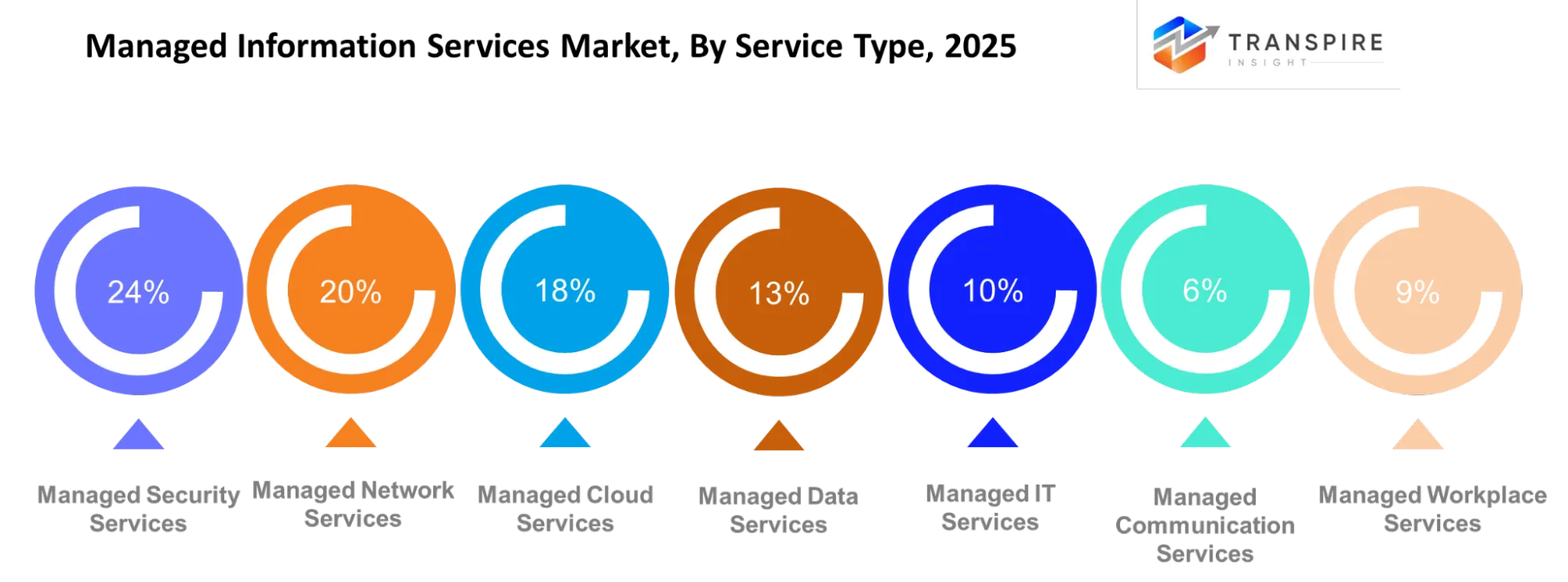 Managed Information Services Market Service Type Managed Information Services Market Service Type
