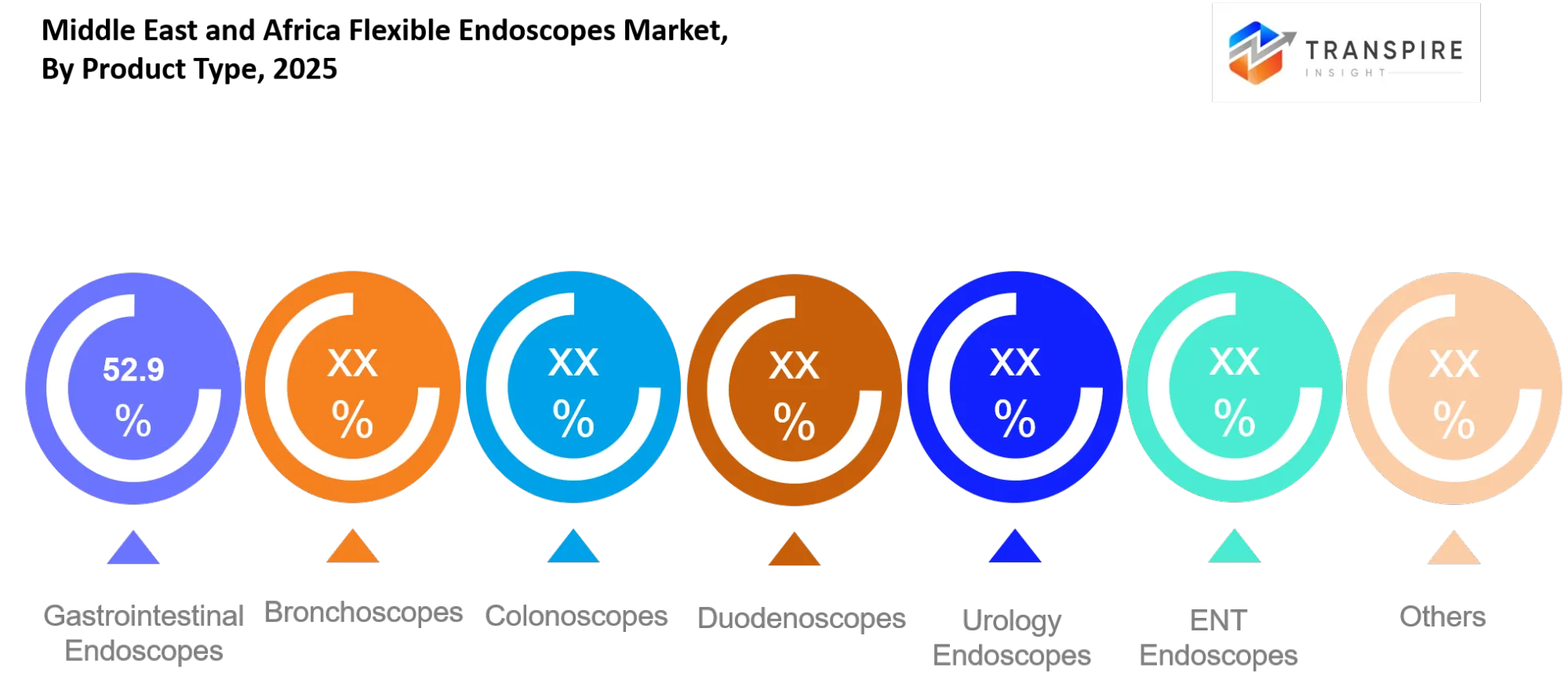 Middle East And Africa Flexible Endoscopes Market Type Middle East And Africa Flexible Endoscopes Market Type
