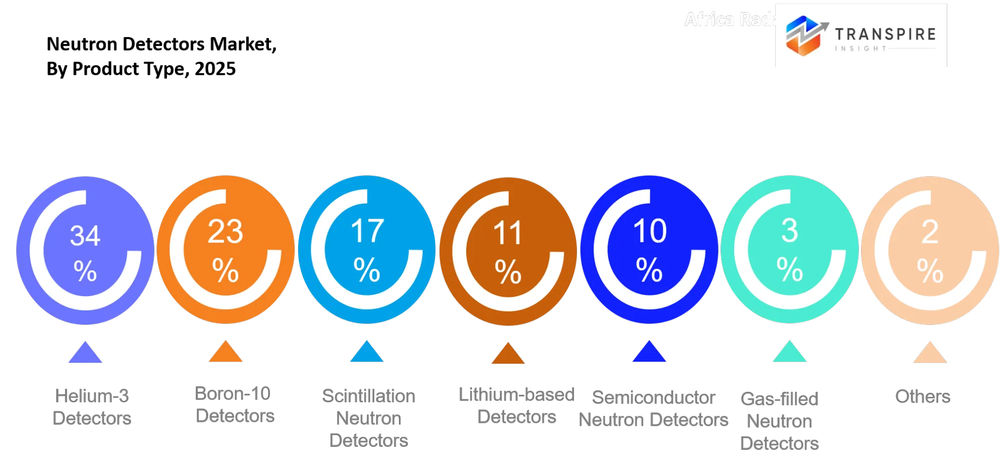 Neutron Detectors Market Type Neutron Detectors Market Type