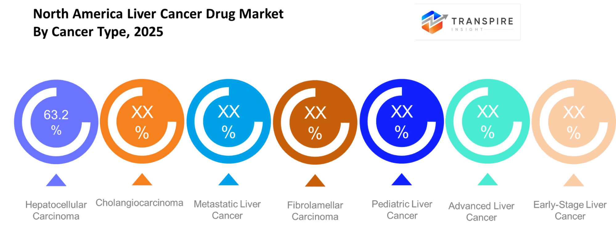 North America Liver Cancer Drug Market Cancer Type North America Liver Cancer Drug Market Cancer Type