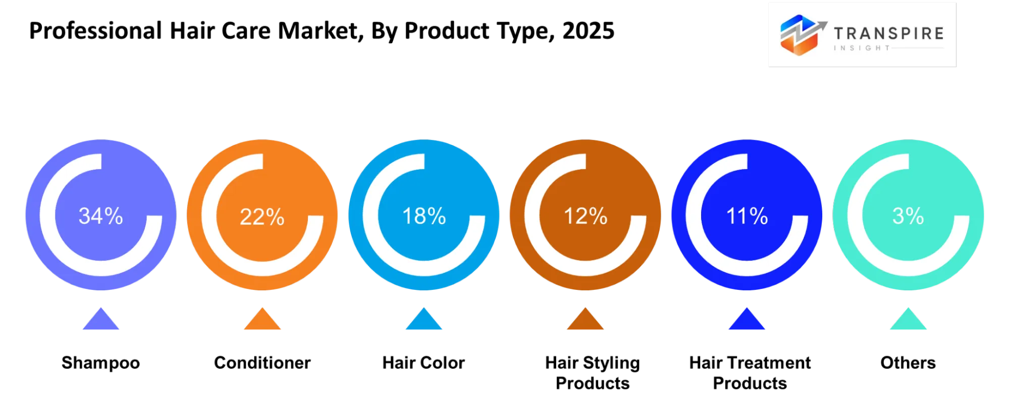 Professional Hair Care Market Product Type Professional Hair Care Market Product Type