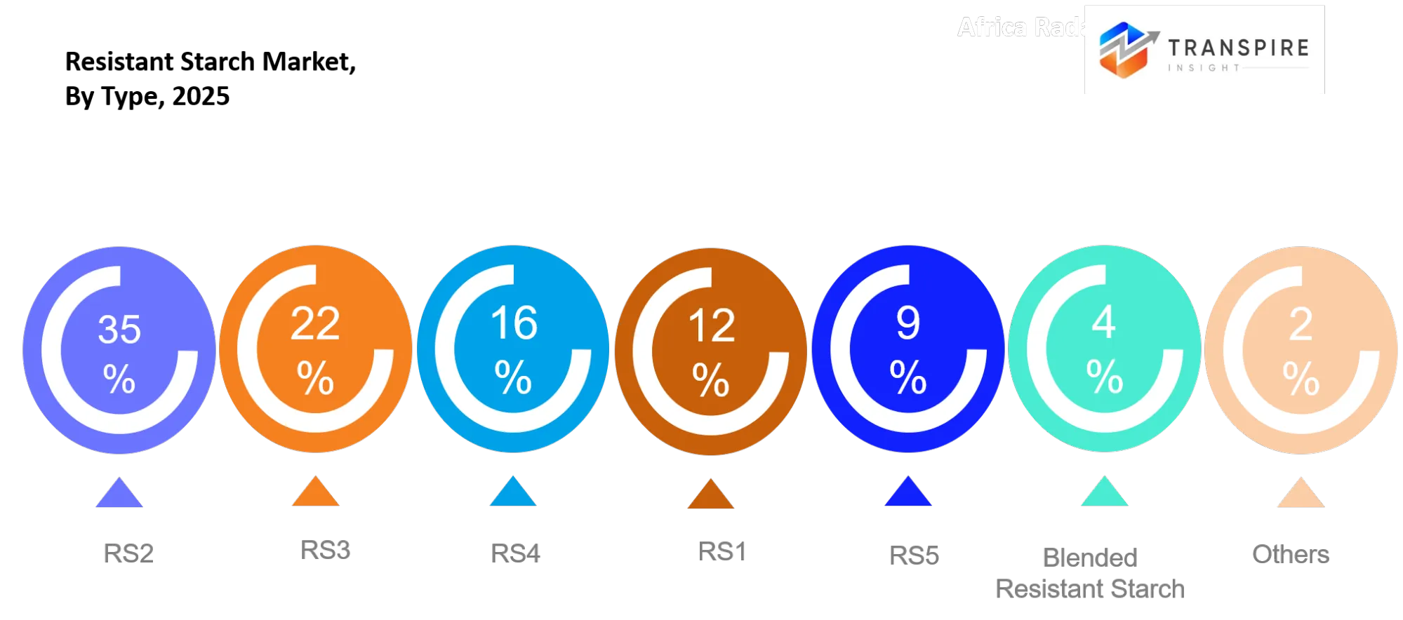 Resistant Starch Market Type Resistant Starch Market Type