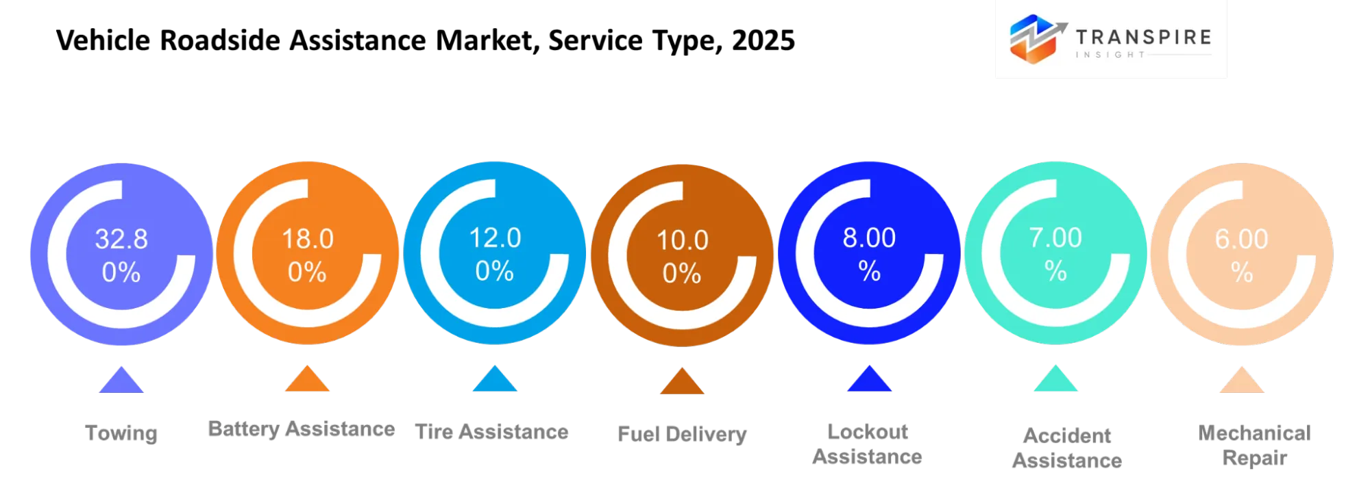 Vehicle Roadside Assistance Market Type Vehicle Roadside Assistance Market Type
